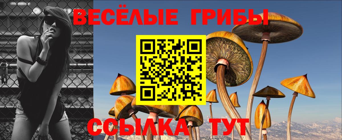 Псилоцибиновые грибы прущие грибы  Вход с VPN  закладка  Галлюциногенные грибы мицелий  Ишимбай 